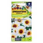 Семена Хризантема "Полярная Звезда", ц/п, 0,1 гр. - Фото 1