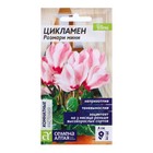 Семена Цикламен "Розмари мини", ц/п, 3 шт. - Фото 1