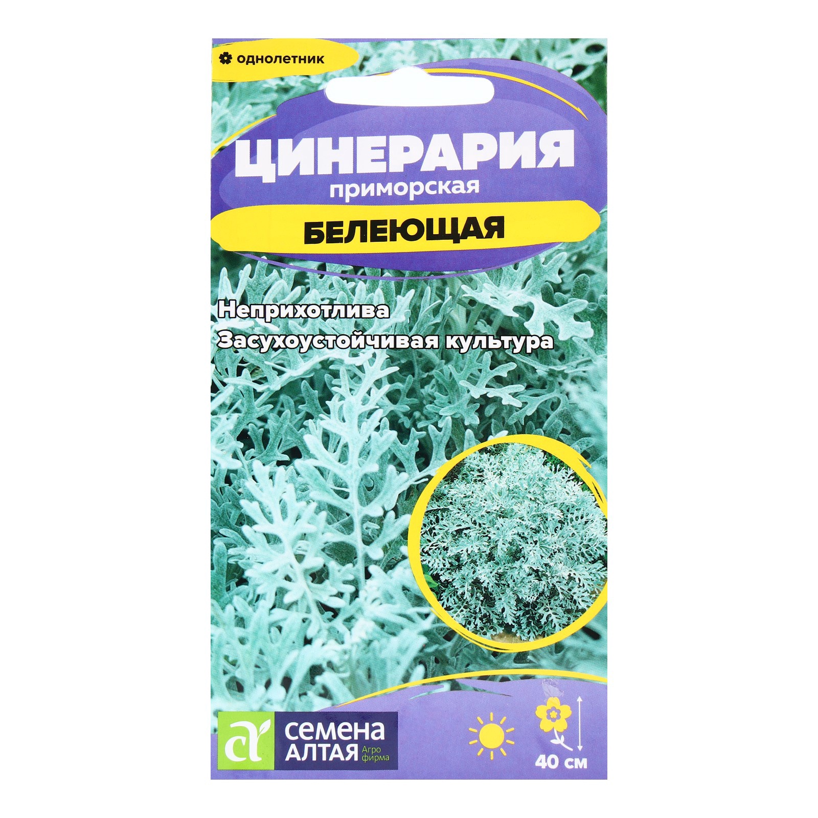 Семена Цинерария "Белеющая", 0,1 гр. (10216081) - Купить по цене от 28. ...