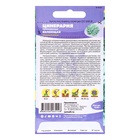 Семена Цинерария "Белеющая", ц/п, 0,05 гр. - Фото 2