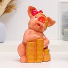 Копилка "Свинья с деньгами" 25х16х10см - Фото 2