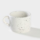 Чашка фарфоровая чайная Veletta, 350 мл, d= 9,5 см, h=7,5 см - фото 4409765
