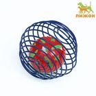 Игрушка «Мяч в пружинном шаре», 6 см - Фото 1