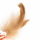 Игрушка для кошек "Полосатая рыба" с перьями, 5 см, оранжевая - фото 8523371