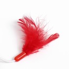 Игрушка для кошек «Вертолёт», шарик 3.8 см, с бубенчиком и перьями, красная - Фото 2