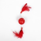 Игрушка для кошек с бубенчиком и перьями "Вертолёт", шарик 3,8 см, красная - Фото 4