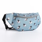 Набор 2 в 1, рюкзак с карманом "Мопсы", поясная сумка - фото 23423179