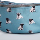 Набор 2 в 1, рюкзак с карманом "Мопсы", поясная сумка - фото 23423181