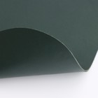 Коврик для миски из экокожи 48 х 30 см, зелёный - Фото 7
