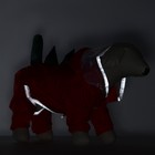Комбинезон для собак "Дракоша", демисезонный, размер M (ДС 30, ОГ 40, вес 5-7 кг) - фото 8523832