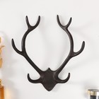 Настенные крючки декоративные «Рога оленя», чугун, 32×27.7×9.2 см - Фото 1