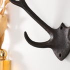 Настенные крючки декоративные «Рога оленя», чугун, 32×27.7×9.2 см - Фото 3