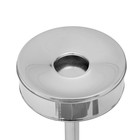 Урна-пепельница ПН-250, хром, 5,2 л, D=31,6 Н=69 см - фото 23437509