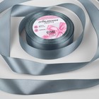 Лента атласная, 25 мм × 23 ± 1 м, цвет серый №03 - Фото 1