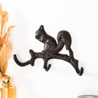 Крючки настенные чугун «Белочка», 21×12×3 см - Фото 2