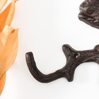 Крючки настенные чугун «Белочка», 21×12×3 см - Фото 3