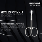 Ножницы маникюрные «Premium», загнутые, узкие, 9,5 см, на блистере, цвет серебристый - Фото 2