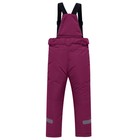 Брюки горнолыжные для девочки, рост 122 см, цвет тёмно-фиолетовый - Фото 2