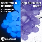 Декоративные камни для аквариума, 20 мм, 200 г, светящиеся, фиолетовые - Фото 1