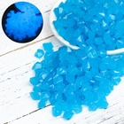 Декоративная крошка для аквариума, светятся в темноте, 9 - 13 мм, 200 г, голубая - Фото 2