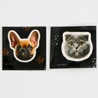 Металлическая головоломка с пазлами и наклейками "Котики, собачки", МИКС - фото 11092986