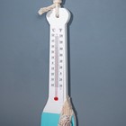Сувенир интерьерный "Весло" с термометром 30*7см - Фото 4