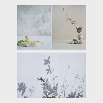 Фотофон для съёмок, двусторонний, бумага 300 г «Изящные растения», 57×87 см