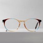 Готовые очки GA0307 (Цвет: C2 коричневый; диоптрия: +1;тонировка: Нет) - Фото 3