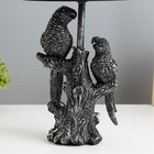 Настольная лампа "Попугаи" Е27 40Вт чёрный с серебряной патиной 22х22х43 см RISALUX - Фото 4