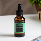 Эфирное масло «Бергамот», 30 мл, Богатство Аромата - Фото 2