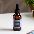 Эфирное масло «Цитрус и ваниль», 30 мл, Богатство Аромата - Фото 2