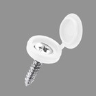 Заглушка для саморезов, пластик, белый, набор 100 шт. - Фото 1