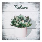 Картина на холсте Nature 31*31 см - Фото 1