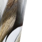 Картина на холсте "Пёрышки" 50*70 см - фото 24321052