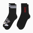 Набор мужских носков "Money" 2 пары, размер 41-44 (27-29 см) - Фото 2