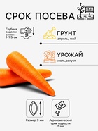 Семена Морковь «Рафинад», 2.4 г, «Аэлита» - Фото 2