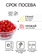 Семена Земляника «Вайс Солемахер», белая, 0.03 г, «Аэлита» - Фото 2