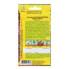 Семена Петуния «Чарующий водопад», ампельная, смесь сортов, 0.05 г, «Агрофирма АЭЛИТА» - Фото 2