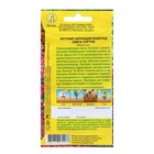 Семена Петуния Чарующий водопад ампельная, смесь сортов   Одн Ц/П 0,05г 10221151 - фото 14006467