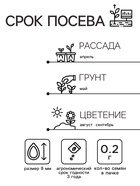 Семена Астра Монпансье красная   Одн Ц/П 0,2г - Фото 4