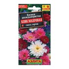 Семена Космея «Клик махровая», смесь сортов, однолетник, 0.1 г, «АЭЛИТА» - Фото 1