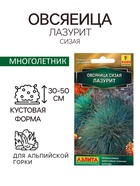 Семена Овсяница сизая «Лазурит», 5 шт., многолетник, «Аэлита» - Фото 1