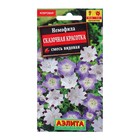 Семена цветов Немофила ковровая «Сказочная красотка», смесь видовая, 0.2 г, однолетник, «Аэлита» - Фото 1