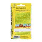 Семена цветов Немофила ковровая «Сказочная красотка», смесь видовая, 0.2 г, однолетник, «Аэлита» - Фото 2