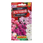 Семена цветов Левкой «Кустовой», смесь сортов, 0.1 г, однолетник, «Аэлита» - Фото 1