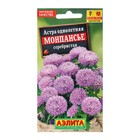 Семена цветов Астра «Монпансье», серебристая, 0.2 г, однолетник, «Аэлита» - Фото 1