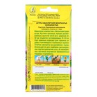 Семена цветов Астра «Монпансье», серебристая, 0.2 г, однолетник, «Аэлита» - Фото 2