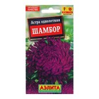 Семена Астра Шамбор пионовидная Одн Ц/П 0,2г - Фото 1