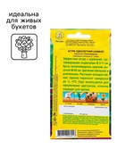 Семена Астра Шамбор пионовидная   Одн Ц/П 0,2г 10221232 - фото 2808105