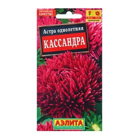 Семена Астра Кассандра  Ор. А Одн Ц/П 0,2г 10221248